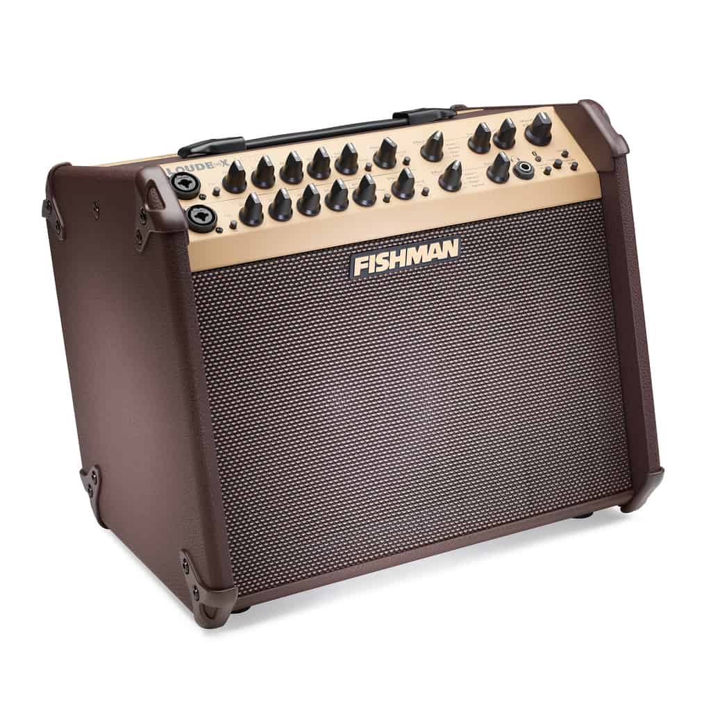 Loa Fishman loudbox Mini