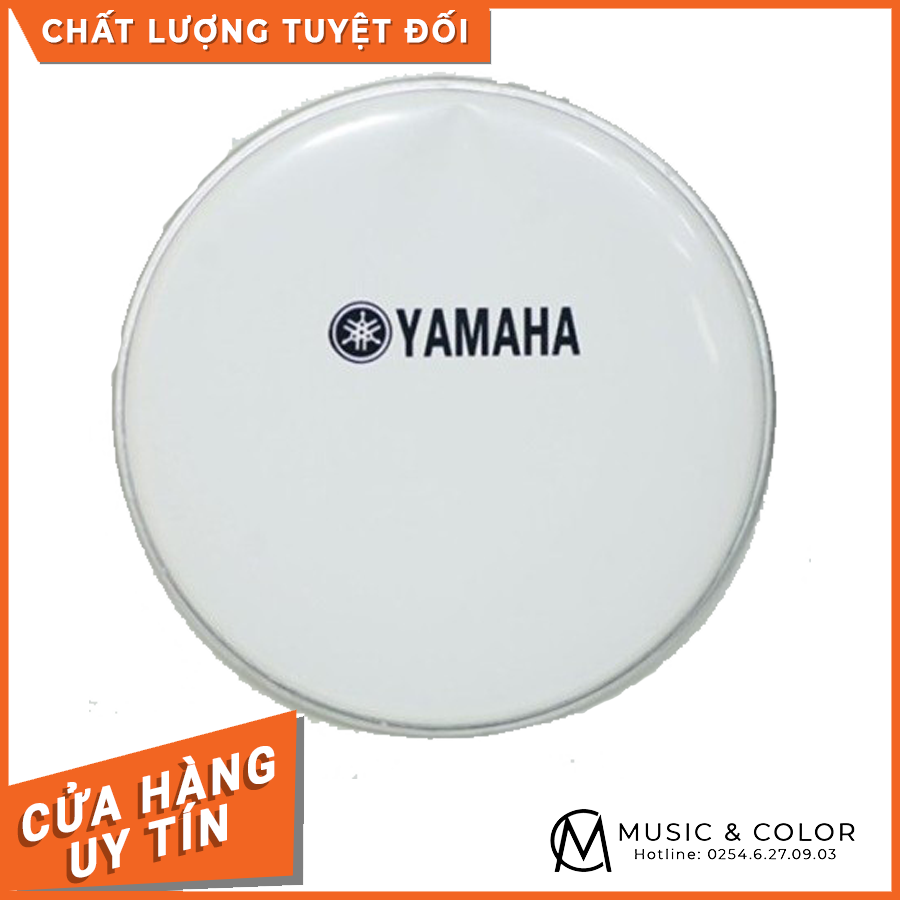 Mặt Tembourine