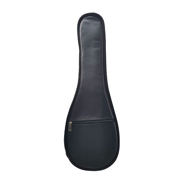 Bao đàn Ukulele